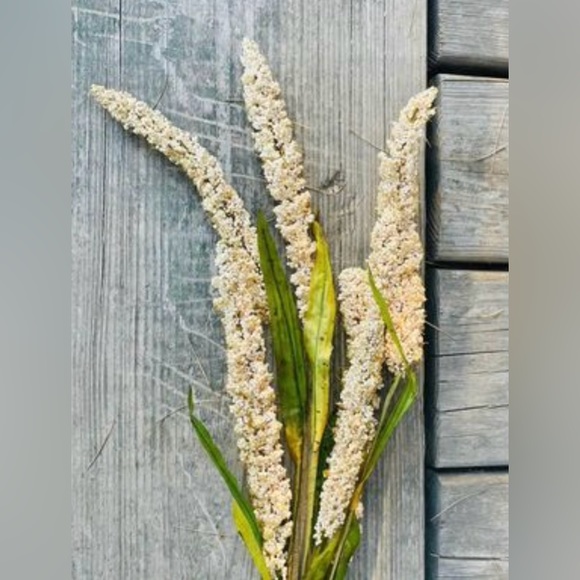 *Cream Millet Stem, 30” Bundle of 3 - Picture 10 of 10